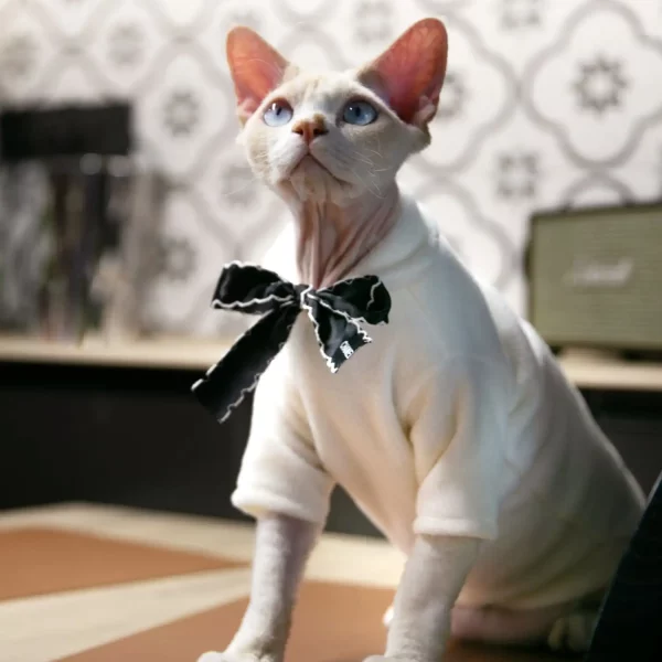 Simple Chanel Sweaters for Cats - White