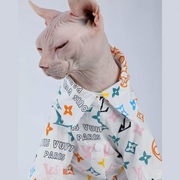 Sphynx Cat Clothing-Sphynx wears shirt