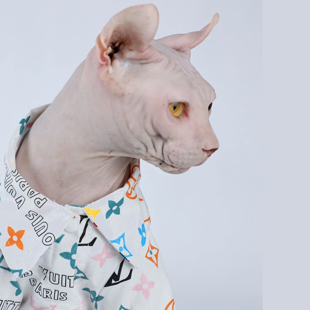 sphynx shirt