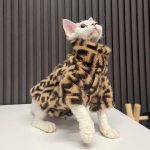 Sphynx Cat Fur Coat-Devon Rex wears fendi coat