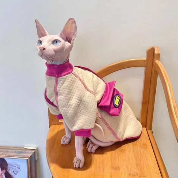 Sphynx Cat Sweaters-Sphynx llevar suéter beige
