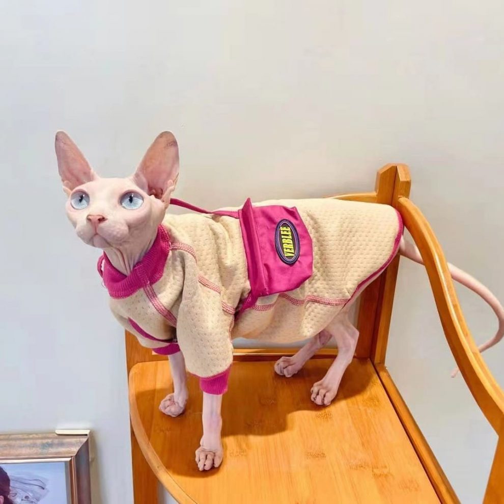 Sphynx Cat Sweaters Turtleneck Sweater for Cats, Sweater with A Bag