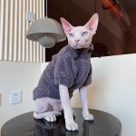 Sphynx Clothing-Sphynx wears dark grey jumper