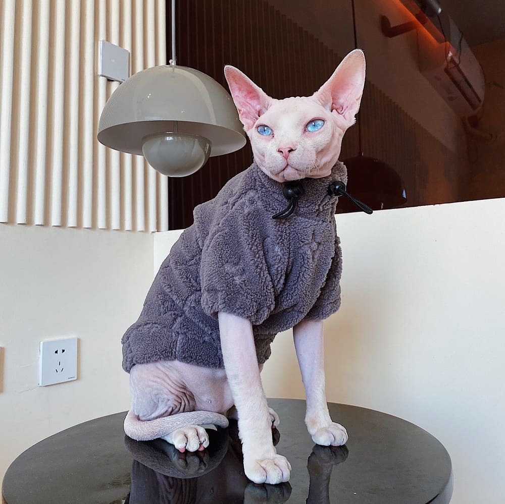 Sphynx Clothing  LV Jumper for Cat, Sphynx Cat Outfits, Blue