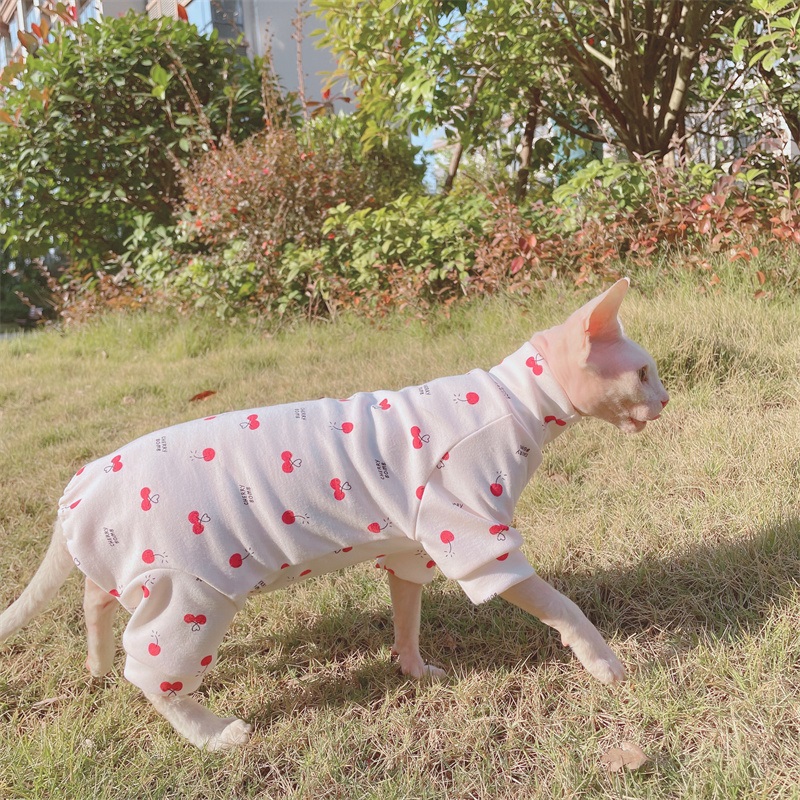 Medical Shirt for Cats-Sphynx wears onesie