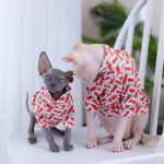 Sphynx cat T-shirt-B Fashion Shirt