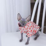 Sphynx cat T-shirt-B Fashion Shirt