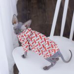 Sphynx cat T-shirt-B Fashion Shirt