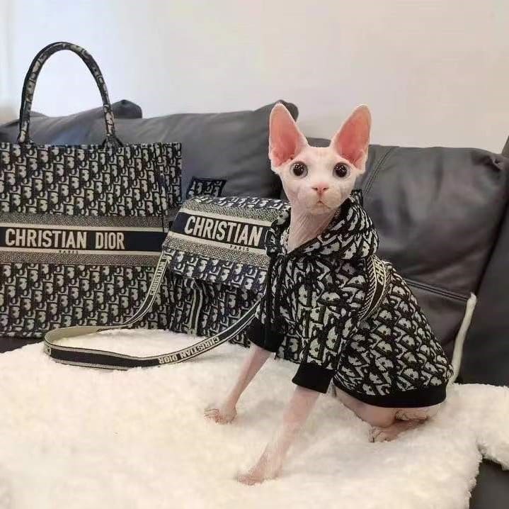 Design Hoodie for Your Cat-Sphynx wears dior hoodie