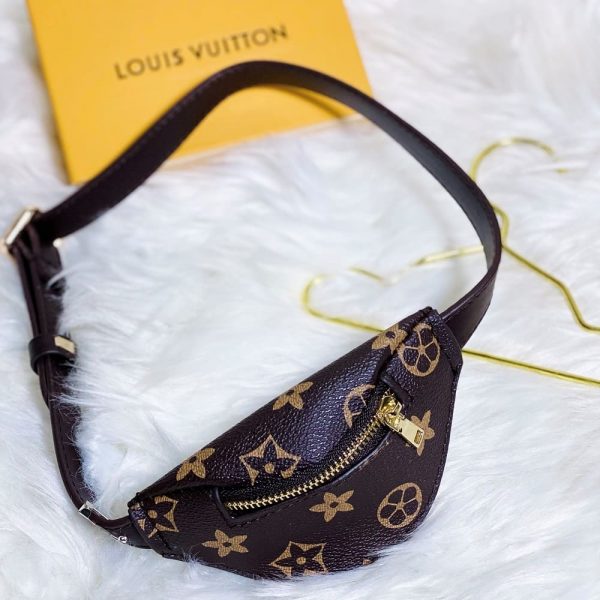 Design Hoodie for Your Cat-LV purse
