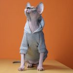 Supreme Hoodie for Cat-Sphynx cat wears Supreme hoodie
