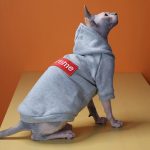 Supreme Hoodie for Cat-Sphynx cat wears Supreme hoodie
