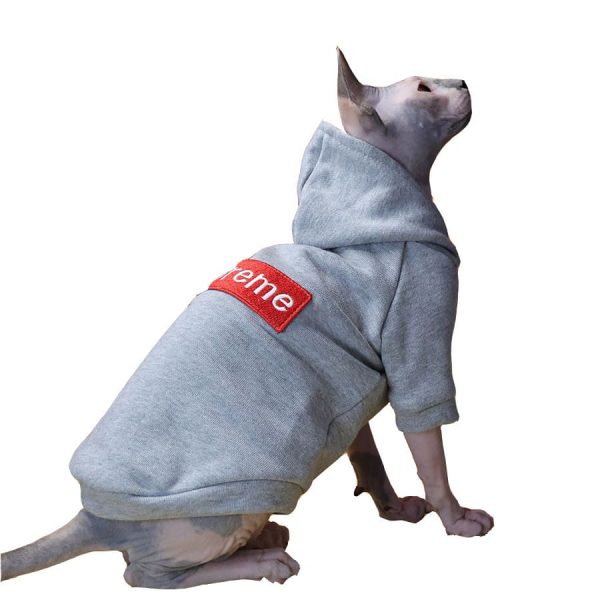 Толстовка Supreme для кошки-сфинкса носит толстовку Supreme