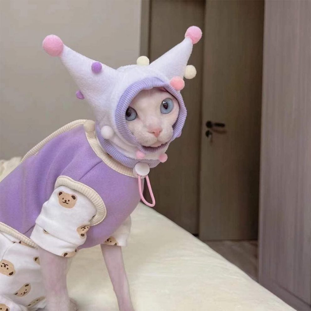 Vest for Cat Cat wearing Vest, Vest for Cats, Purple and Yellow Vest