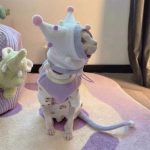 Vest for Cat | Sphynx wears one set