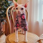 Cat Clothes for Cats-Sphynx wears pink shirt