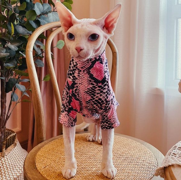 Cat Clothes for Cats-Sphynx wears pink shirt