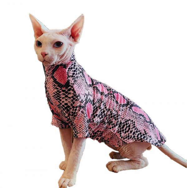 Katzenkleidung für Katzen-Sphynx trägt ein rosa Hemd