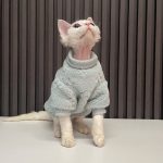 Katzenpullover für Katzen - grün