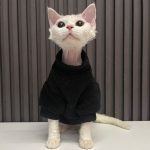 Katzenpullover für Katzen-Schwarz