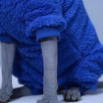 Kitty Clothes for Cats | Footed Pajamas for Cats, Klein Blue Shirt for Cat