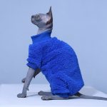 Kitty Clothes for Cats | Footed Pajamas for Cats, Klein Blue Shirt for Cat