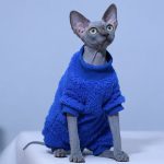 猫の服｜猫用足つきパジャマ、猫用クラインブルーシャツ