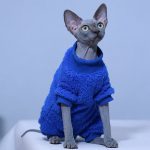 Kitty Clothes for Cats | Footed Pajamas for Cats, Klein Blue Shirt for Cat