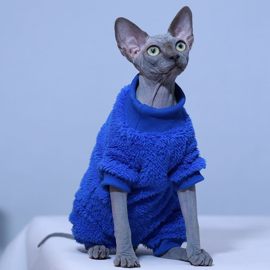 Ropa de Gatito para Gatos | Pijama de Pies Gatos, Camisa Azul Klein para Gato