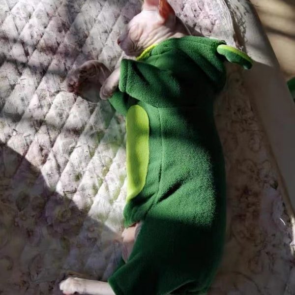Costumes for Pet Cats-Sphynx wear frog hoodie