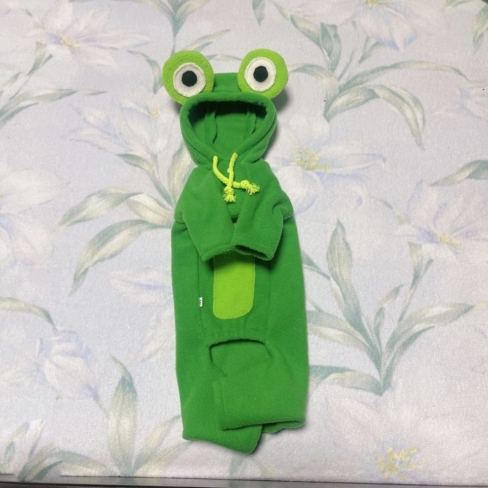 Costumes for Pet Cats Cute Frog Cat Costume Hoodie for Sphynx