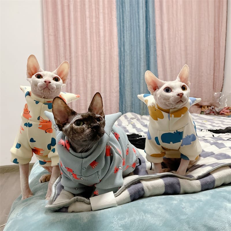 Hairless Cat Sweaters-Three cats wear sweaters