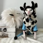 Jersey Gato sin Pelo-Suéter con Gorro de Cuerno