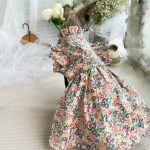 Cute Kitten Clothing | Lace Small Floral Dress for Sphynx Cat