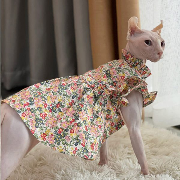 Vêtements pour chatons - Petite robe fleurie en dentelle pour chat Sphynx