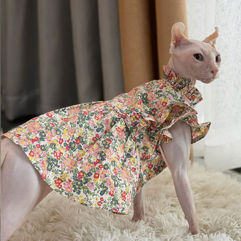 kitten dress