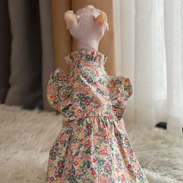 Kitten Dress-Sphynx wears flower dress