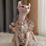 Cute Kitten Clothing | Lace Small Floral Dress for Sphynx Cat