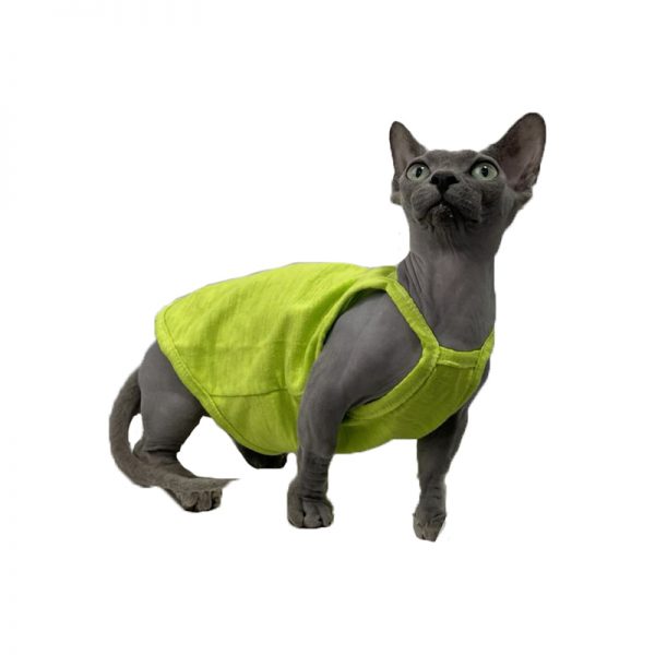 子猫の服装-緑のタンクトップ