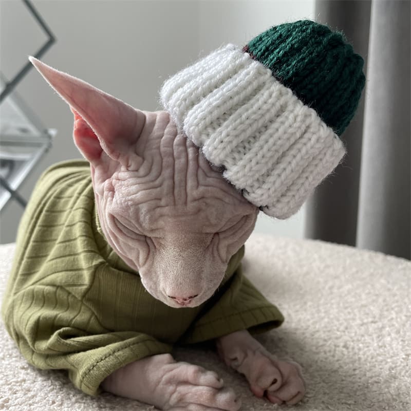 Rap Hats for Cats | Coolest Hip Hop Rap 