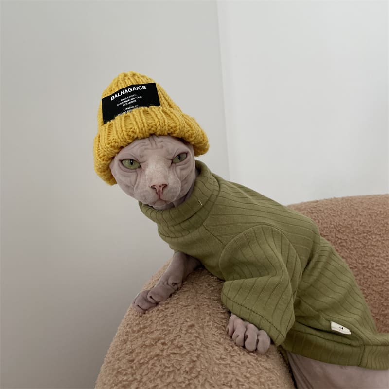 Rap Hats for Cats | Coolest Hip Hop Rap 