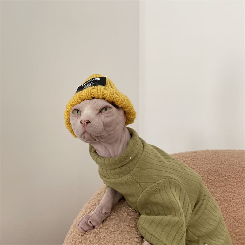 Rap Hats for Cats | Coolest Hip Hop Rap 
