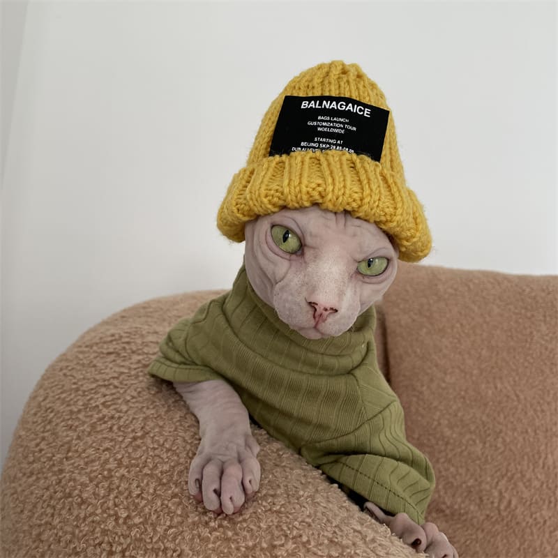 Rap Hats for Cats | Coolest Hip Hop Rap Beanie for Cat