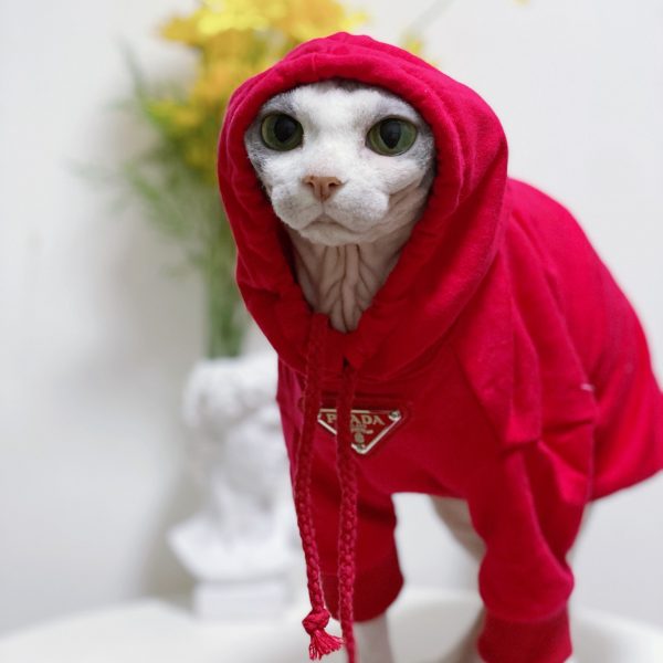 Kitty Clothes-red hoodie