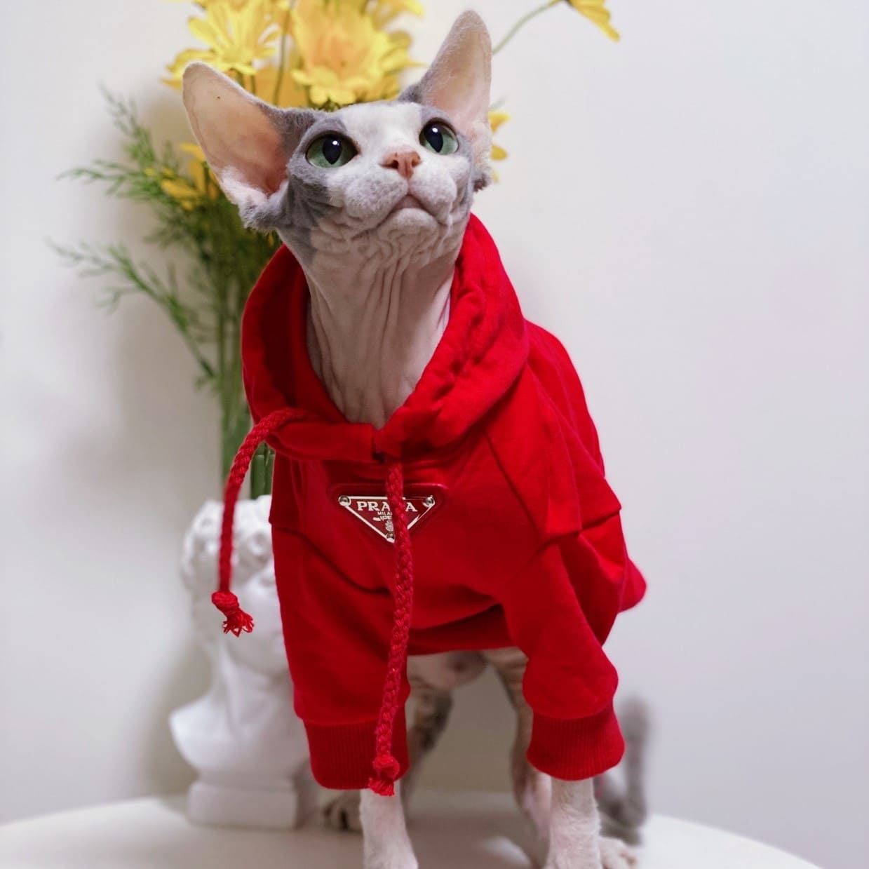 Kitty Clothes-red hoodie