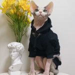 Kitty Clothes-Black hoodie