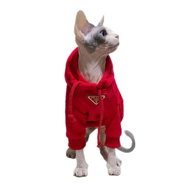 Kitty Clothes-red hoodie