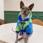 Pet Cat Clothing-Blue-green hoodie