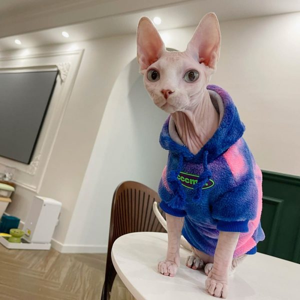 Pet Cat Clothing-Blue-pink hoodie