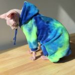 Pet Cat Clothing-Blue-green hoodie